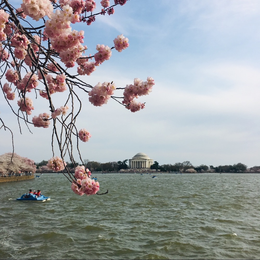 Meet your Posher, Maki